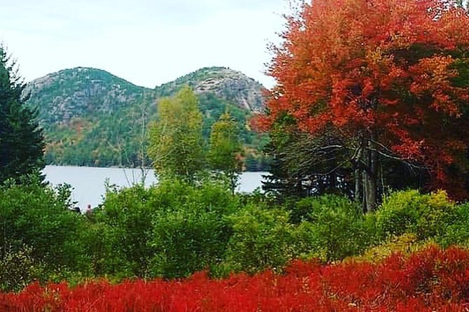 Narrated Bus Tour of Bar Harbor and Acadia National Park - The narration: why the guide talk is part of the value