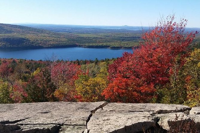Narrated Bus Tour of Bar Harbor and Acadia National Park - Weather, traffic, and the reality of a 2.5-hour plan