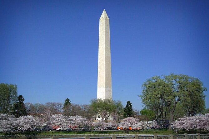 National Mall & Cherry Blossoms with Washington Monument Ticket - Key Things I’d Watch For Before You Go