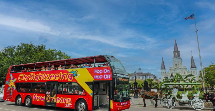 New Orleans: 2 or 3 Day Hop-On Hop-Off Bus with Walking Tour - Guides, frequency, and the practical things you should plan for
