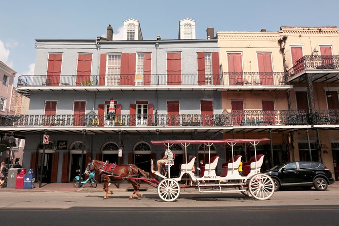 New Orleans City Sightseeing Hop-On Hop-Off Bus Tour - Lower deck vs upper deck: comfort, weather, and sound checks