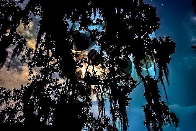 New Orleans Dead of Night Ghosts and Cemetery Bus Tour - Rampart Treehouse meetup: timing, comfort, and night-ready habits