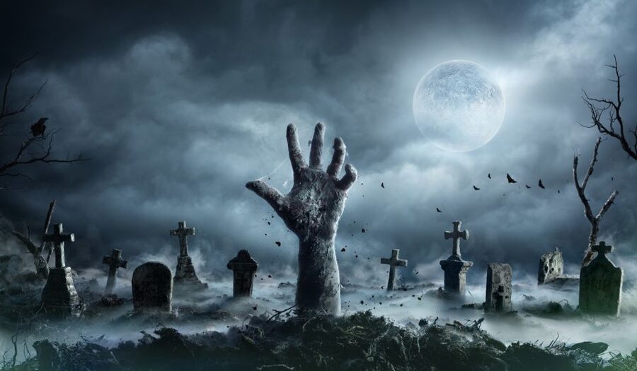 New Orleans: Night Cemetery and Ghost BYOB Bus Tour - Key things to know before you go