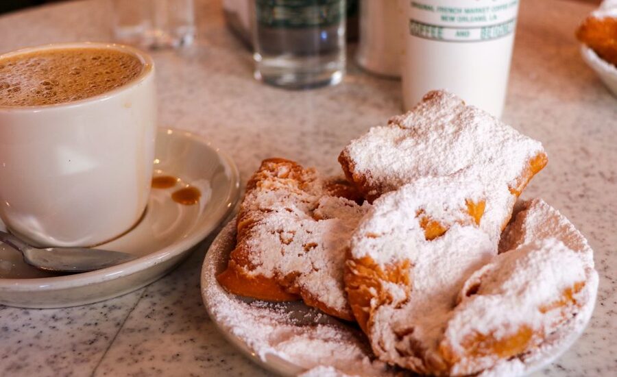 New Orleans: Sightseeing Bus Tour - Magazine Street to the Warehouse and Arts Districts: Style, Scale, and Use