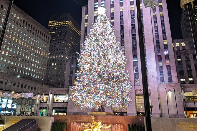New York City Holiday Lights Tour - Key things I’d plan around