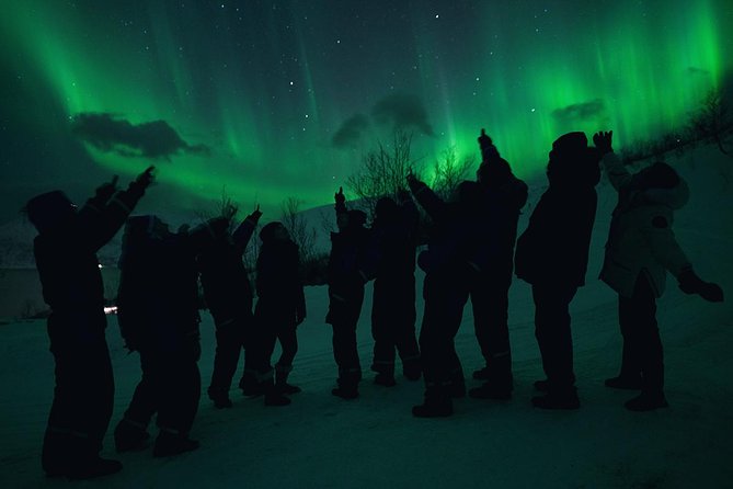 Northern Lights Big Bus Chase with Chasing Lights - How the Aurora Chase Works From Tromsø