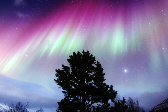 Northern Lights Big Bus Chase with Free Photos - Key things that make this Tromsø aurora chase different