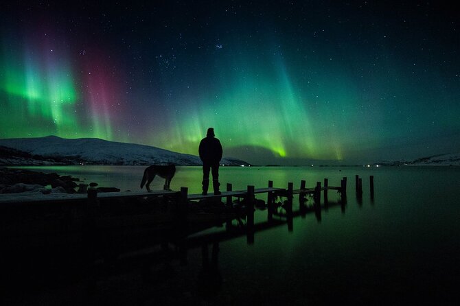 Northern Lights Big Bus Chase with Free Photos - Stop time and timing: why you should plan for a long return