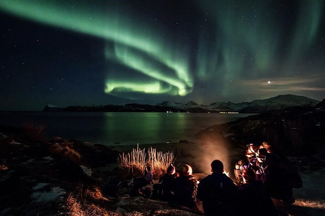 Northern Lights Big Bus Chase with Free Photos - Your guides are the whole game (and names matter)
