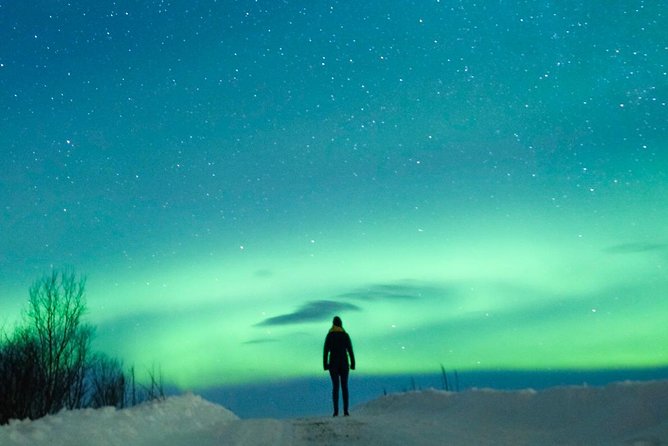 Northern Lights Bus Tour from Reykjavik with Hot Chocolate - On-board comfort: WiFi and hot chocolate in real cold weather
