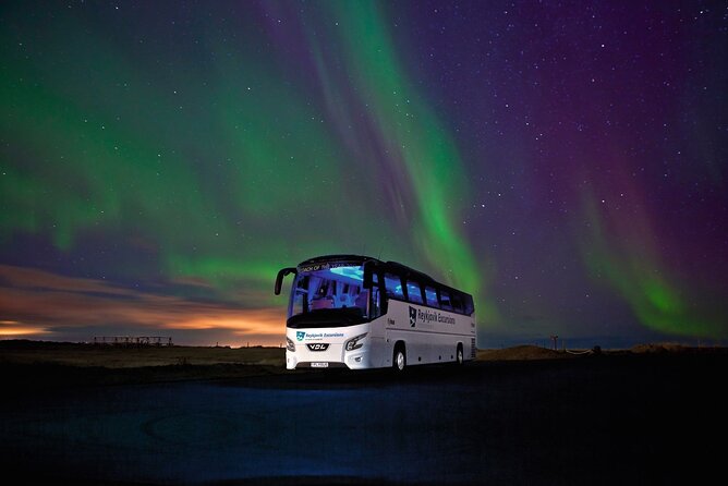 Northern Lights Guided Bus Tour from Reykjavik - City-to-sky logistics: reading the schedule without losing your night