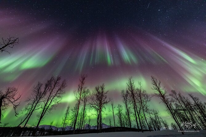 Northern Lights Guided Bus Tour with Free Photos - Northern Lights Bus Tour in Tromsø: The Vibe at 6 pm