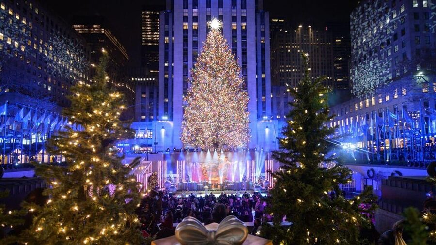 NYC: Dyker Heights and NYC Holiday Lights Luxury Bus Tour - Price and value: is $75 for a 4-hour ride worth it?