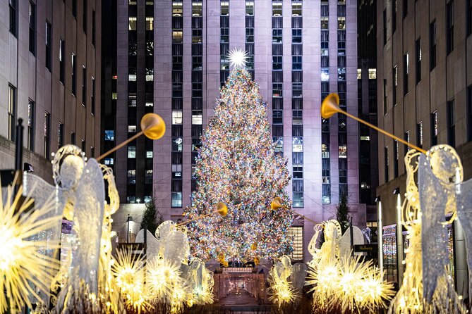 NYC Holiday Lights and Dyker Heights Luxury Bus Tour - Key Highlights You’ll Actually Feel