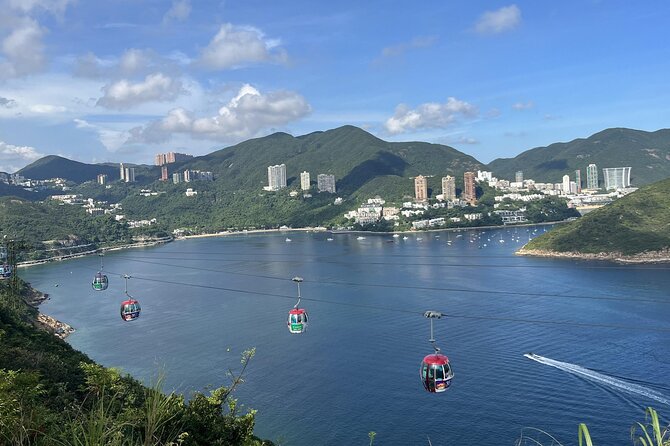 Ocean Park Full-Day Coach Tour with Hotel Pickup in Kowloon Area from Hong Kong - What the Included Admission Really Buys You
