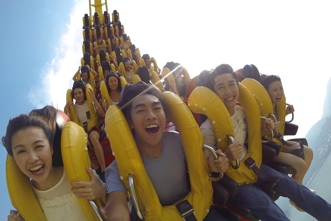 Ocean Park Full-Day Coach Tour with Hotel Pickup in Kowloon Area from Hong Kong - Old Hong Kong Streets: Performances and Food on Your Own