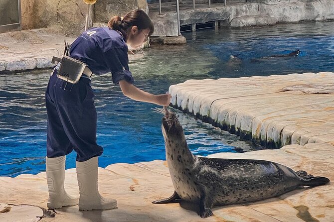 Ocean Park Full-Day Coach Tour with Hotel Pickup in Kowloon Area from Hong Kong - Aqua City Grand Aquarium and the Symbio 360-Degree Show