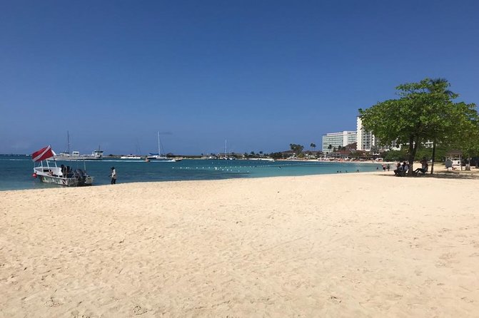 Ocho Rios City Bus Tour (Beach, Sightseeing & Shopping) - The Drive With Ferns and Marcus Garvey: Sightseeing With Context