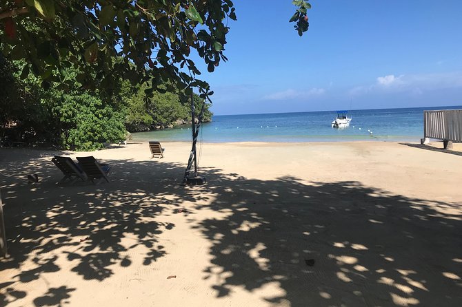 Ocho Rios City Bus Tour (Beach, Sightseeing & Shopping) - Scotchies Drax Hall: Quick Stop, Optional Lunch