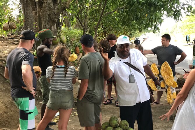 Ocho Rios City Bus Tour (Beach, Sightseeing & Shopping) - Getting On the Bus: Pickup, Timing, and the 4-Hour Flow