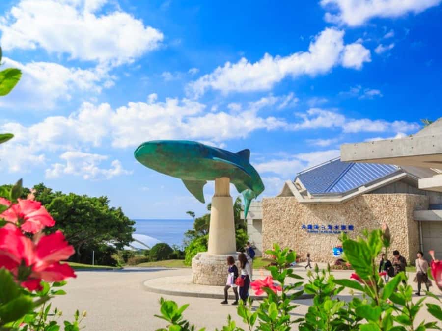 Okinawa: Bus Tour to Churaumi Aquarium with Sightseeing - Kariyushi Beach glass boat: the ocean view you can feel