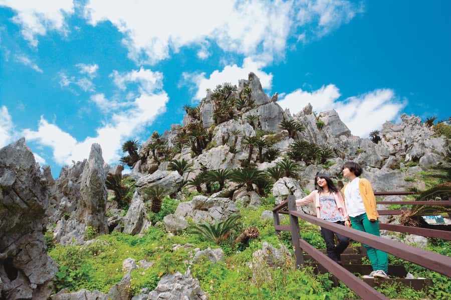 Okinawa: Full-Day Bus Tour to Yanbaru National Park - One day in Yanbaru: why this route works