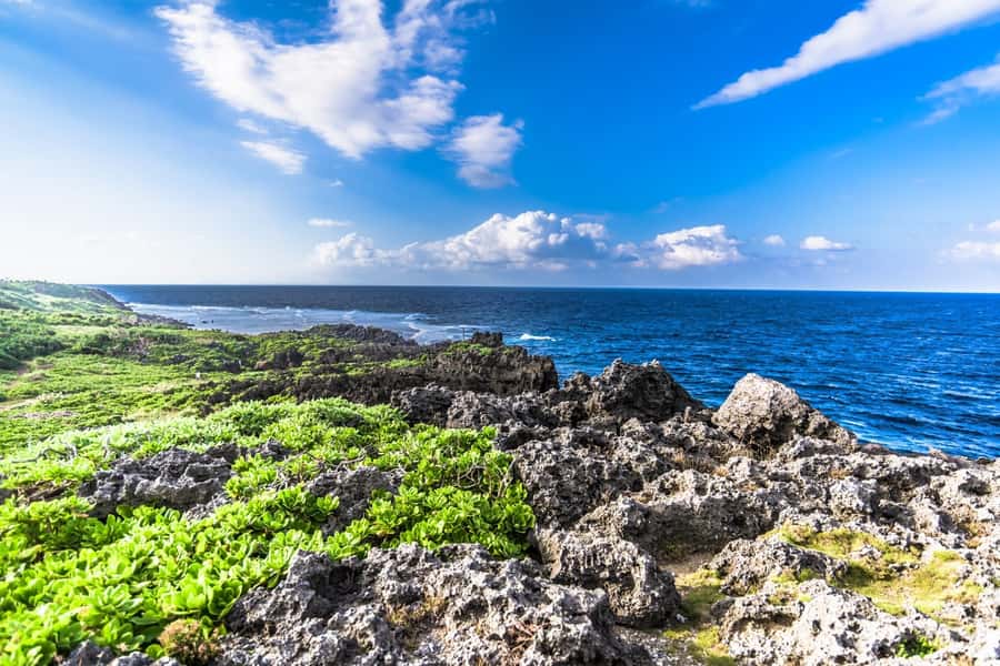 Okinawa: Full-Day Bus Tour to Yanbaru National Park - Yanbaru Forest Visitor Center / Dome Theater: start with the context
