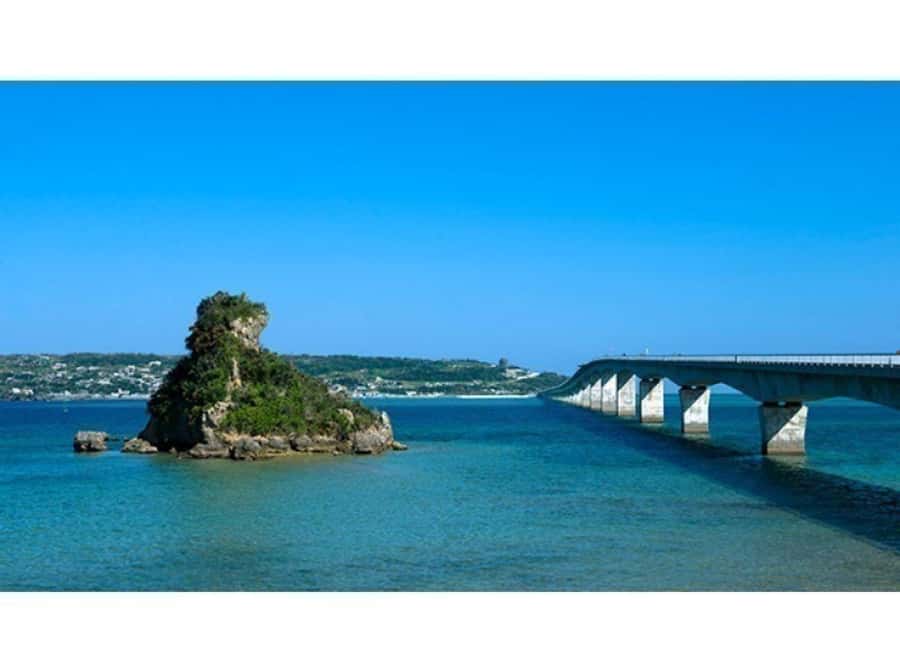 Okinawa: Full-Day Bus Tour to Yanbaru National Park - Okinawa rail and ecology focus: your best chance to spot something special