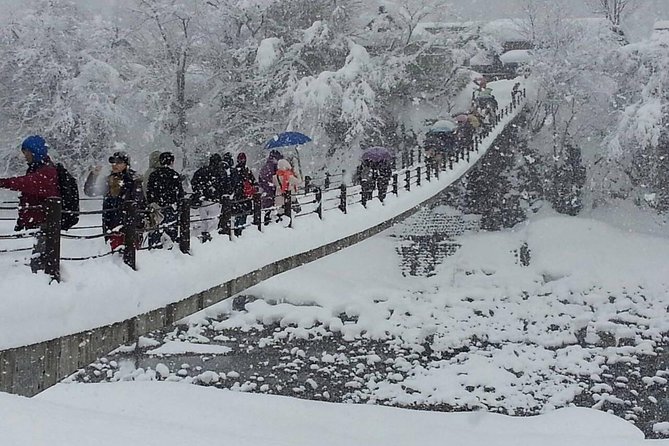 [One-day bus tour departing from Kanazawa Station] Shirakawa-go/Takayama tour platinum route bus tour - Key things that make this day trip work