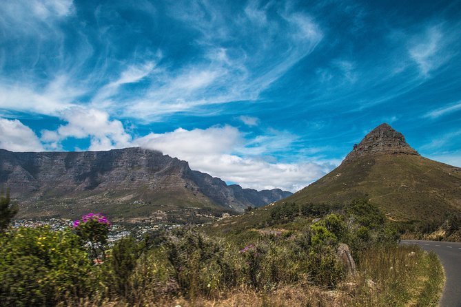 One-Way Hop-on Hop-off Bus from Port Elizabeth to Cape Town - Price and value: does $199 make sense for your style?