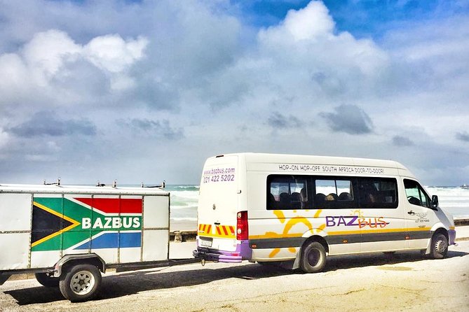 One-Way Hop-on Hop-off Bus from Port Elizabeth to Cape Town - Inside the ride: a 19-seater semi-luxury bus that stays human-scale