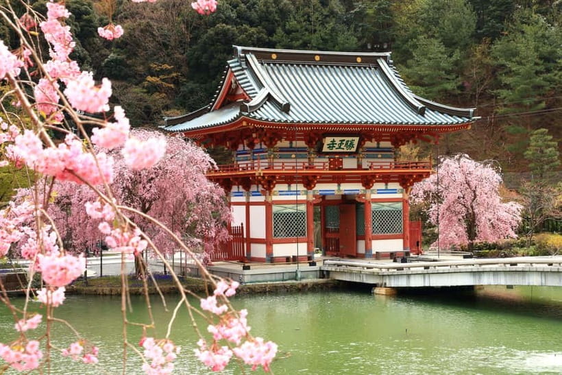 Osaka/Kyoto: Katsuoji, Kinkakuji, Arashiyama 1-Day Bus Tour - Why this 9–10 hour bus day works for first-timers