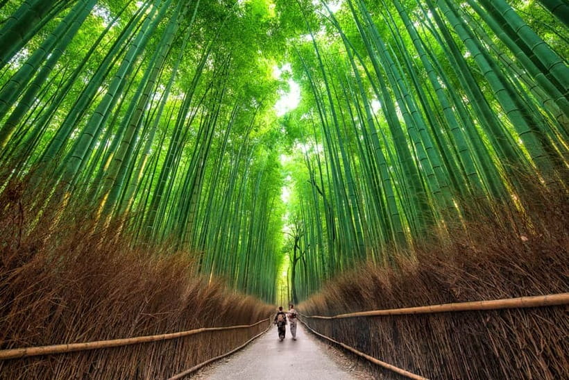 Osaka/Kyoto: Katsuoji, Kinkakuji, Arashiyama 1-Day Bus Tour - Arashiyama bamboo walking, Togetsukyo Bridge views, and Kimono Forest