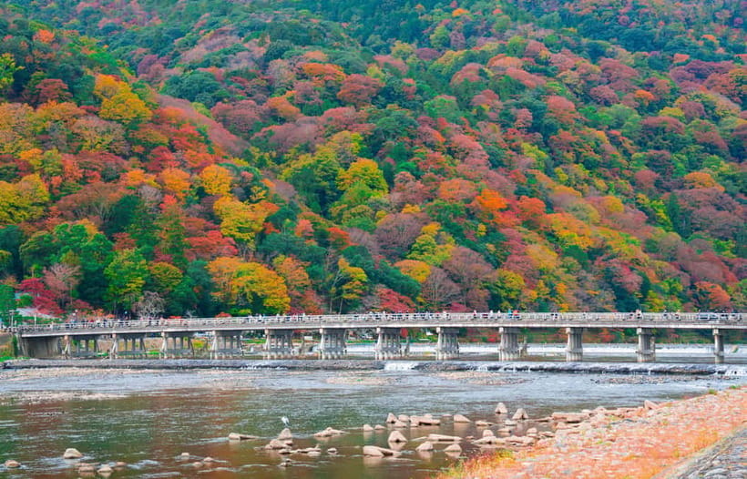 Osaka/Kyoto: Katsuoji, Kinkakuji, Arashiyama 1-Day Bus Tour - Time management tips for squeezing Kyoto icons into one bus day
