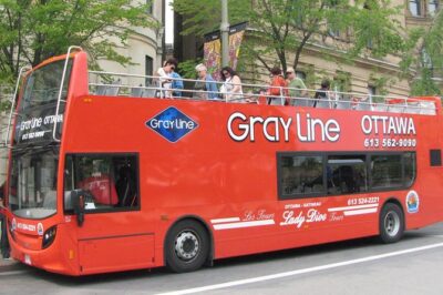 Ottawa Hop-On Hop-Off Sightseeing Tour - Price and value: what $40.21 buys in 90 minutes