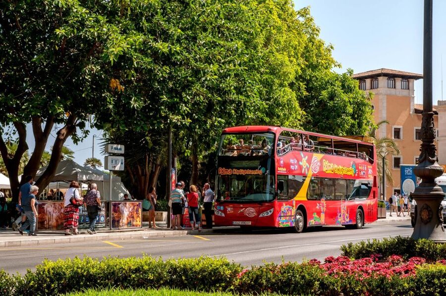 Palma de Mallorca: City Sightseeing Hop-On Hop-Off Bus Tour - Key reasons this bus tour works in Palma