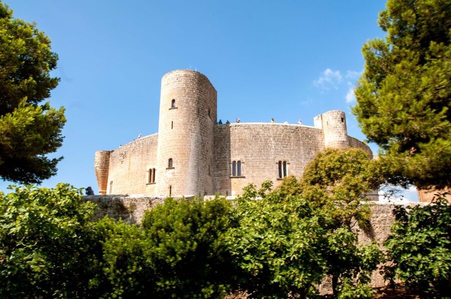 Palma de Mallorca: City Sightseeing Hop-On Hop-Off Bus Tour - Porta des Camp and the slide toward the sea