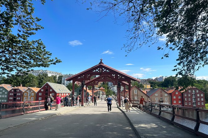 Panorama Bus Tour with Audio Guide - Byåsen and Sverresli: the quick city view that feels worth it