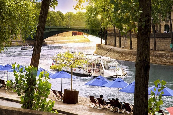 Paris Seine River Hop-On Hop-Off Sightseeing Cruise by Batobus - When to go for the views (and when to avoid frustration)