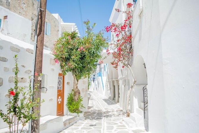Paros & Antiparos Full-Day Discovery Guided Tour in English - Naoussa Old Port finish: fishing harbor colors and final photos