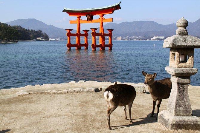 Peaceful Hiroshima & Miyajima UNESCO 1 Day Bus Tour - Key things to know before you go