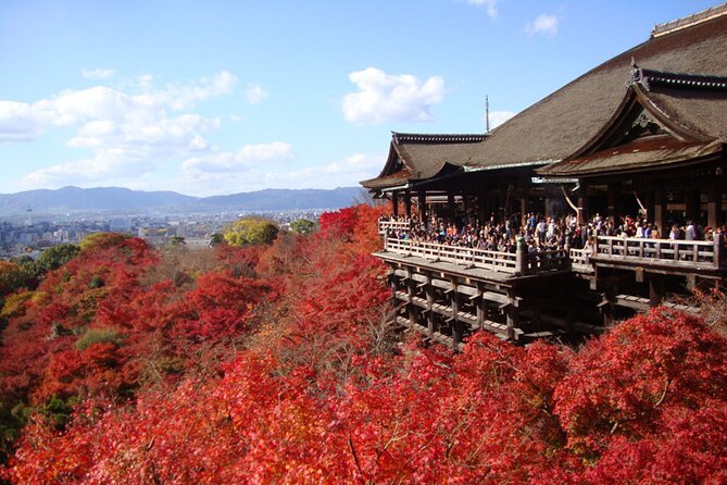 PERFECT KYOTO 1-Day Bus Tour - Key highlights you will feel immediately