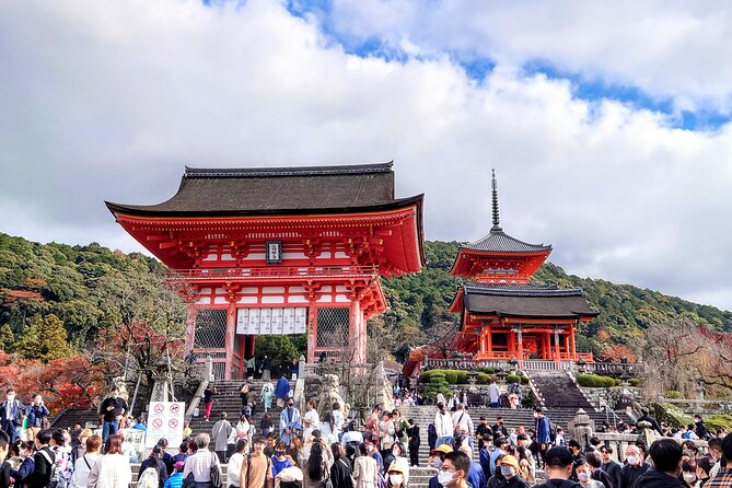 PERFECT KYOTO 1-Day Bus Tour - Price and value: what $129.25 actually buys you