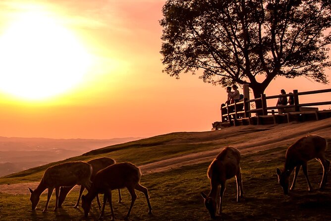 Perfect Nara Park Half-Day Bus Tour with English Speaking Guide - Todaiji Temple: Nandaimon Gate and the Great Buddha Hall