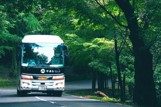Perfect Nara Park Half-Day Bus Tour with English Speaking Guide - Mt. Wakakusa summit: the view payoff and deer-cracker time