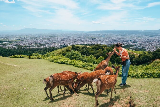 Perfect Nara Park Half-Day Bus Tour with English Speaking Guide - Kasuga Taisha Shrine: deer fortunes and a calmer kind of sacred