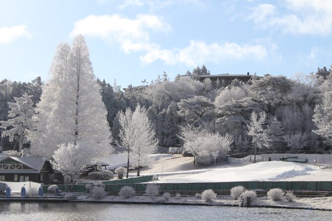 Play with Snow Crab Buffet Lunch and Strawberry Picking Bus Tour - A winter day in Osaka that actually has variety