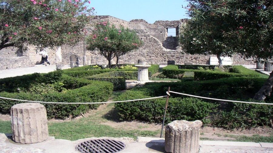 Pompeii Half-Day Coach Tour from Sorrento - Pompeii entry with skip-the-line access