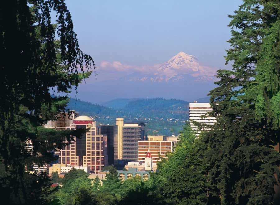 Portland, Oregon: Pink Trolley Hop-On Hop-Off Tour - Stop by stop: from Washington Park gardens to the Rose Test Garden