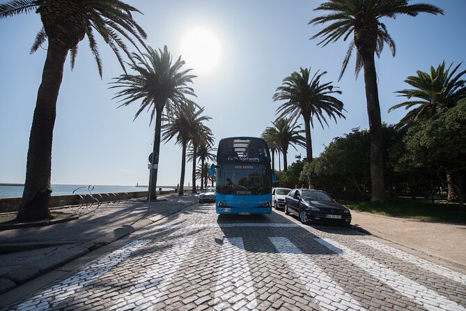 Porto Hop On Hop Off Bus Tour with Wine tasting & Night tour - Practical tips to avoid the common snags